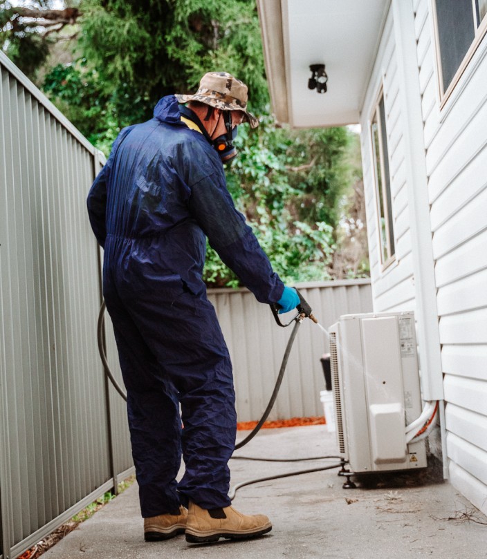 Pest Control Importance