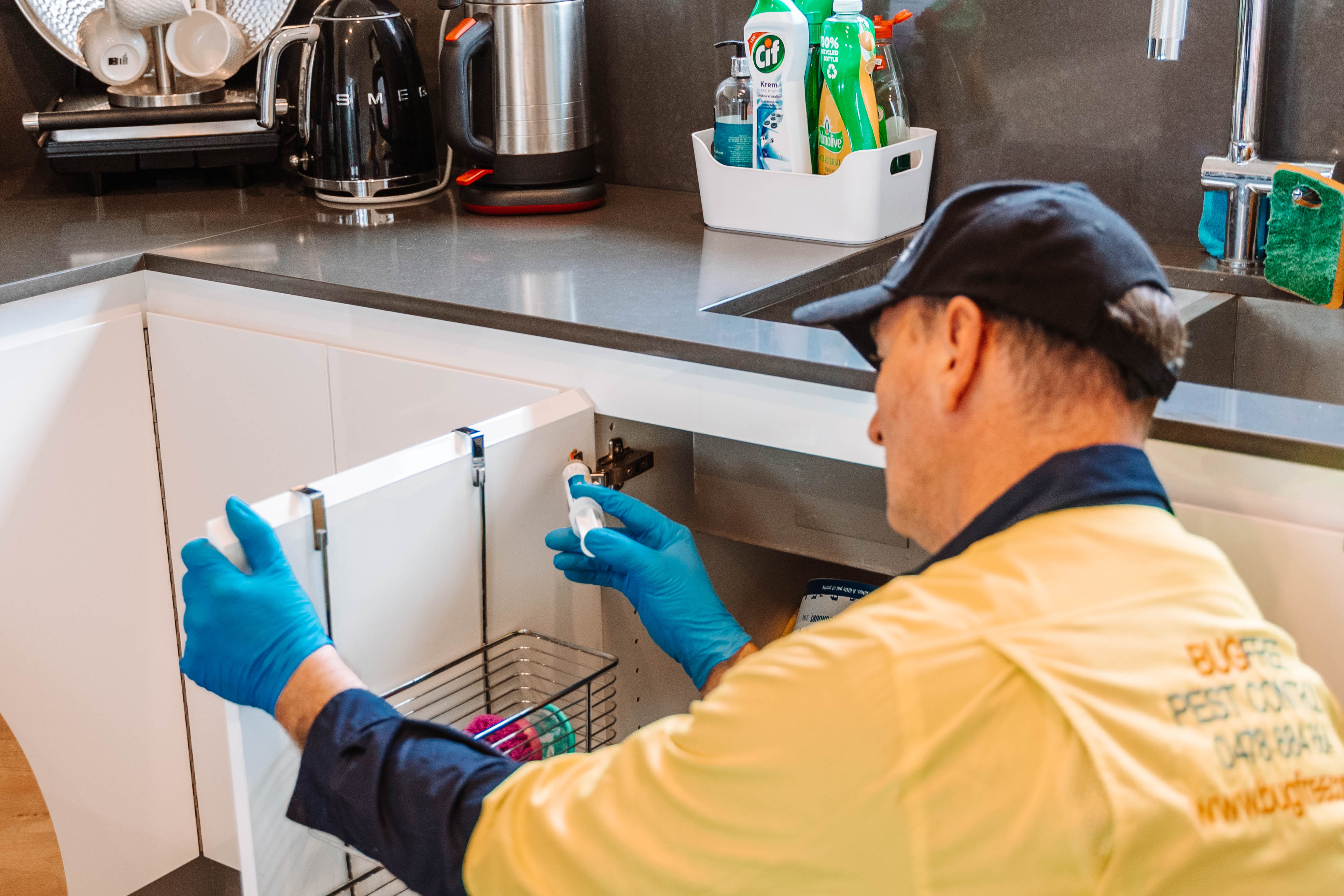 cockroach pest control solution