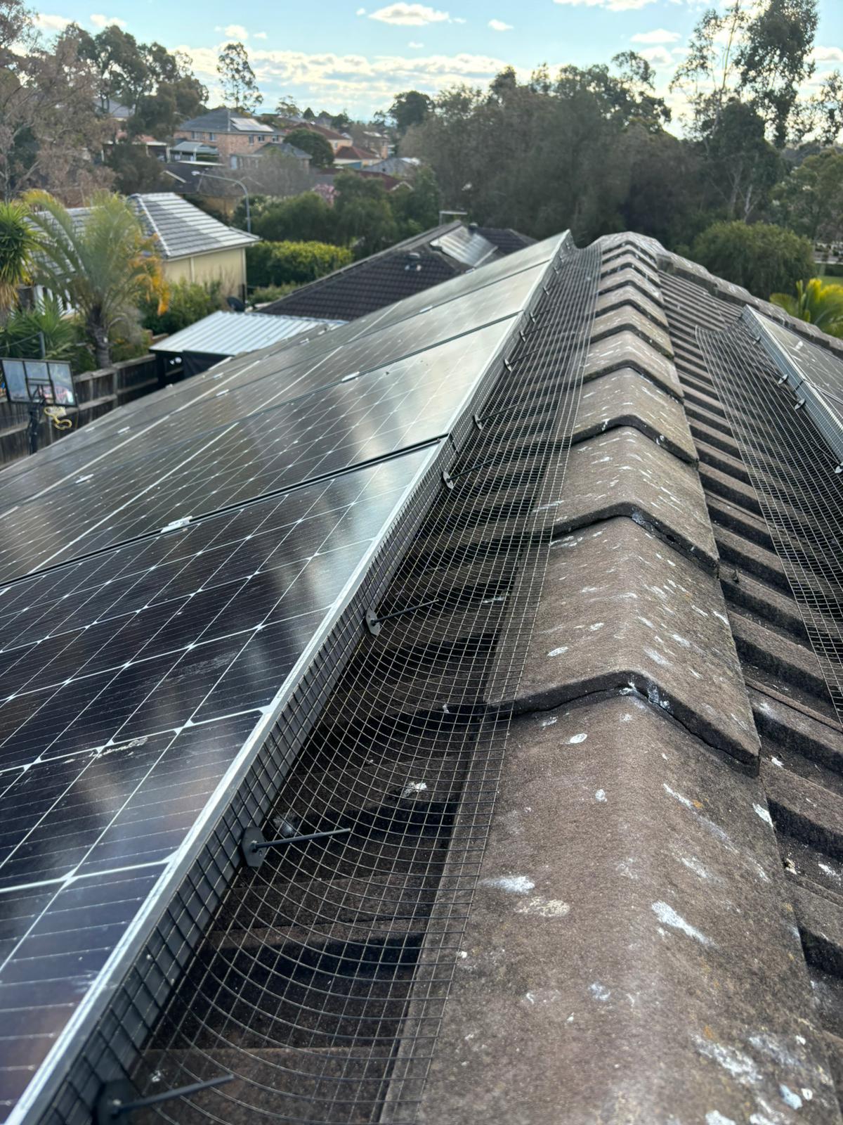 Solar panel bird proofing mesh installed on Sydney home.