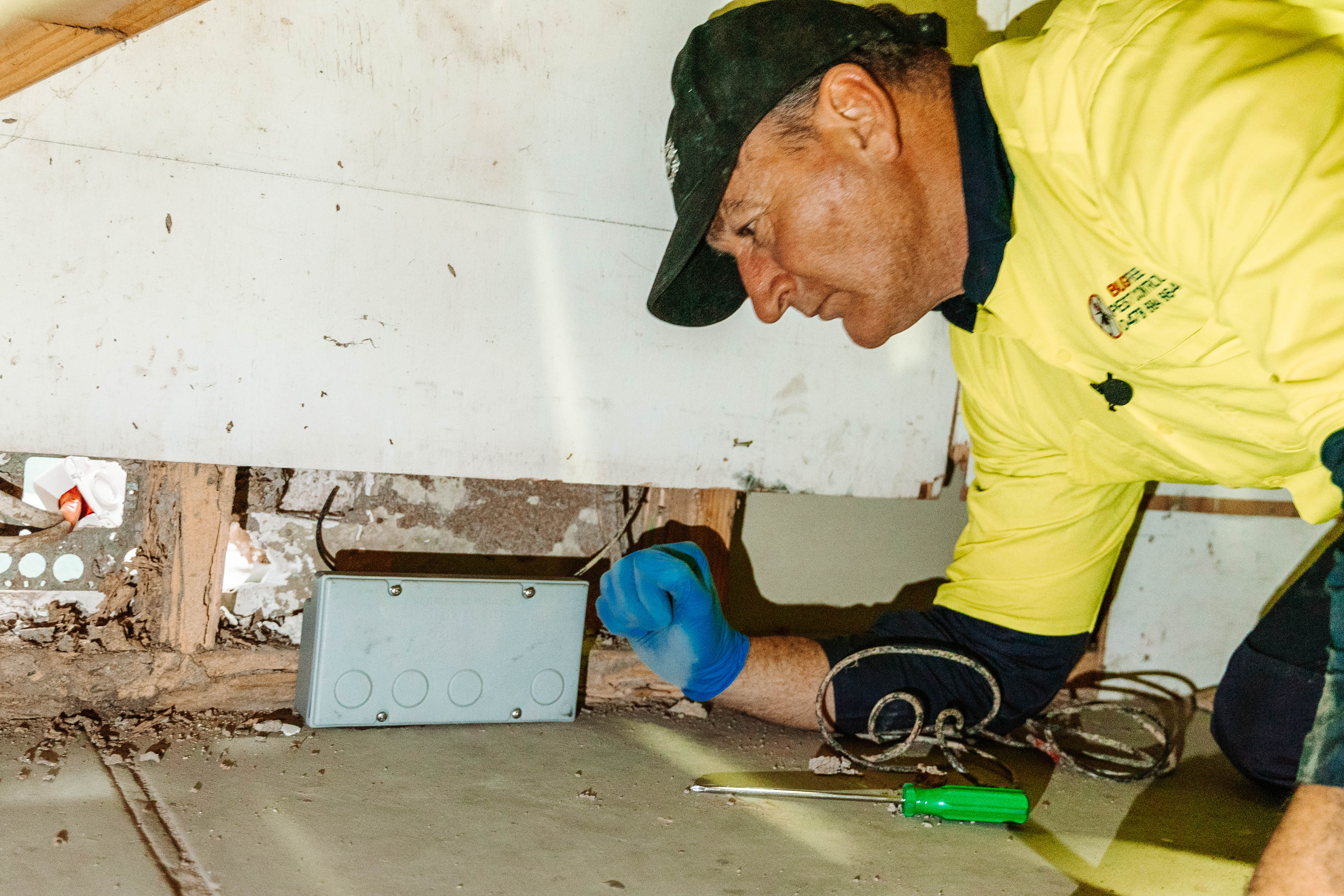 Termite Baiting systems