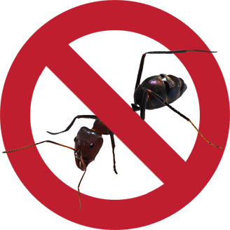 Ant Pest Control Sydney icon