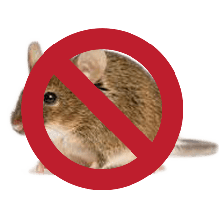 Rat-sign