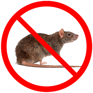 Rodent-sign