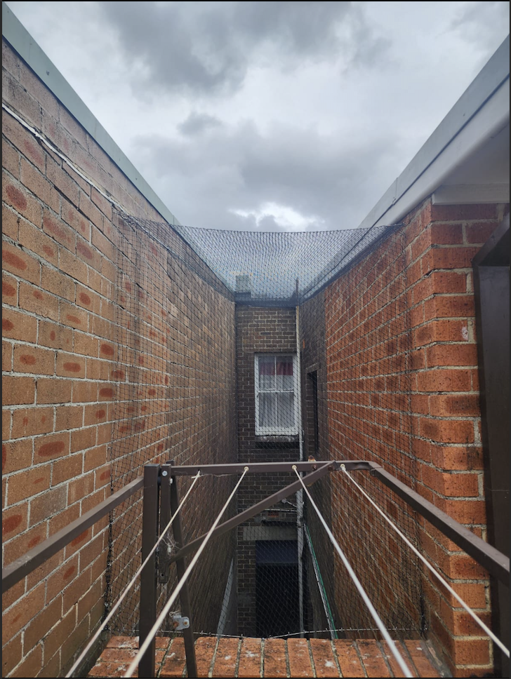 Professional bird netting installed across warehouse steel beams in Sydney.