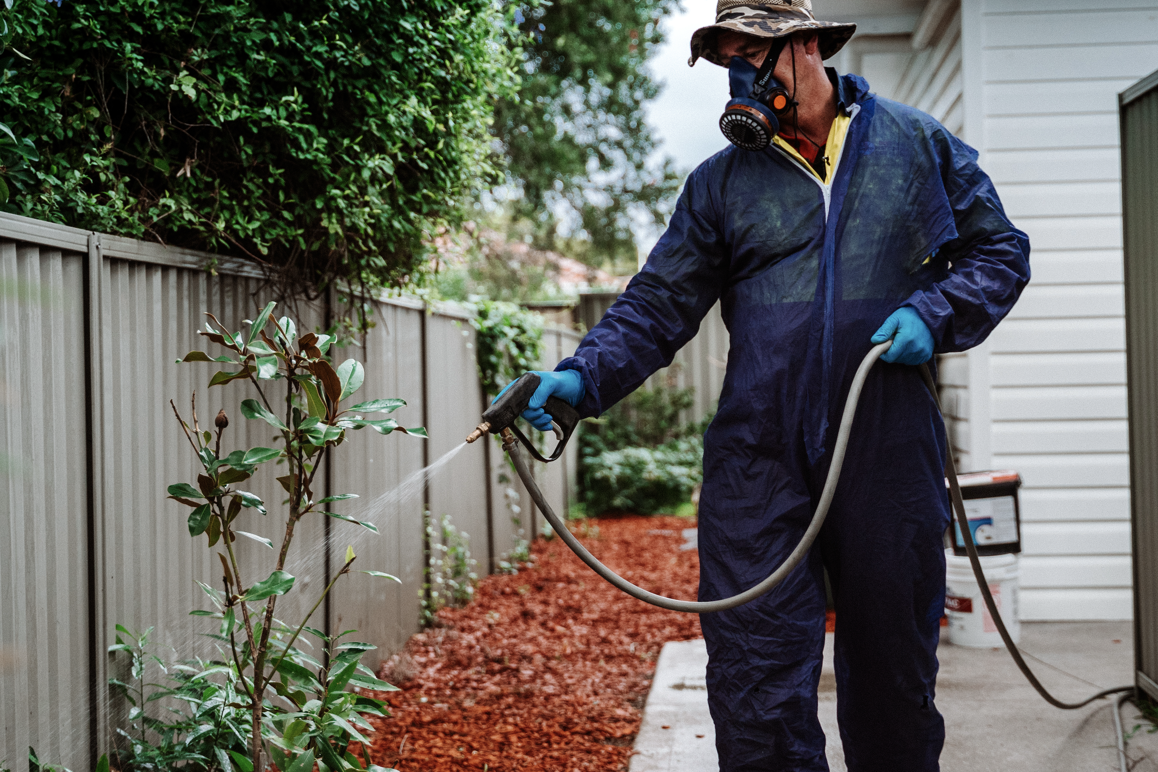 Mosquito Control Sydney