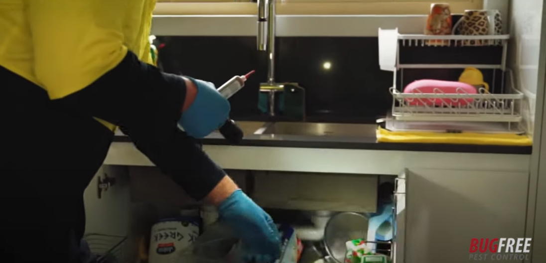 General Pest Control Package Video